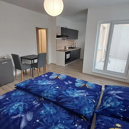 U Letiste Apartament